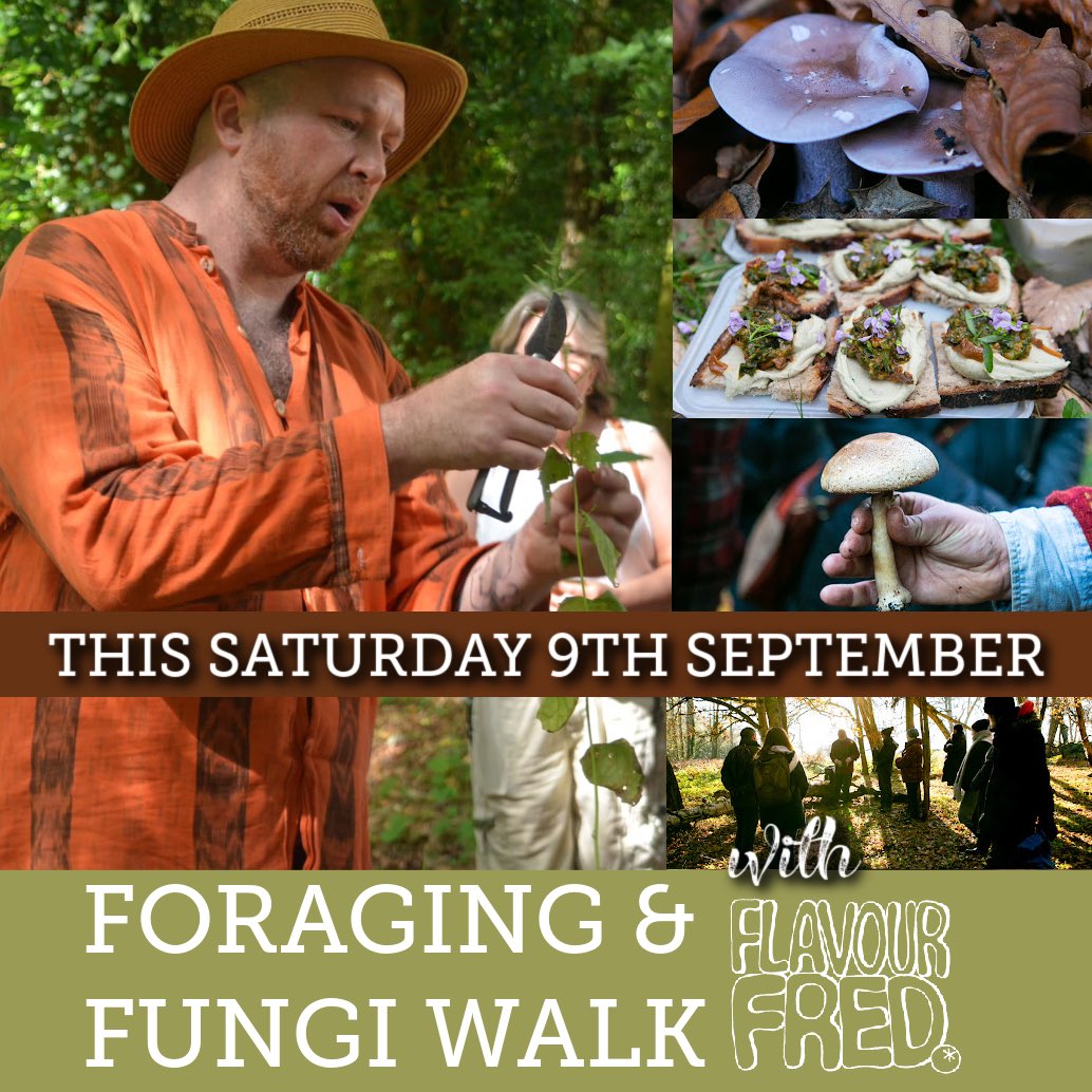 FarmWoodoaks's tweet photo. He’s back! George aka FLAVOUR FRED ready for a #foraging  &amp; #fungi walk that will leave your taste buds exploding &amp; your brain overflowing with an enlightened understanding of the natural ingredients that can be found all around us. 

Join us at THIS Sat. https://t.co/JVwS5AZ1wa https://t.co/LacroNmDwt