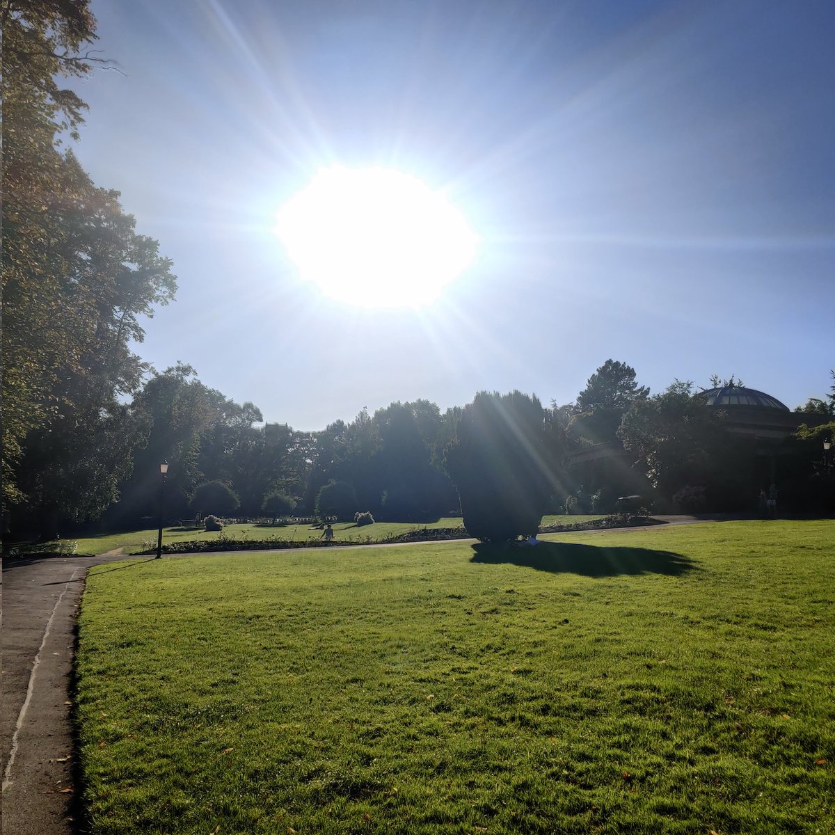 Conor Murphy tweet media