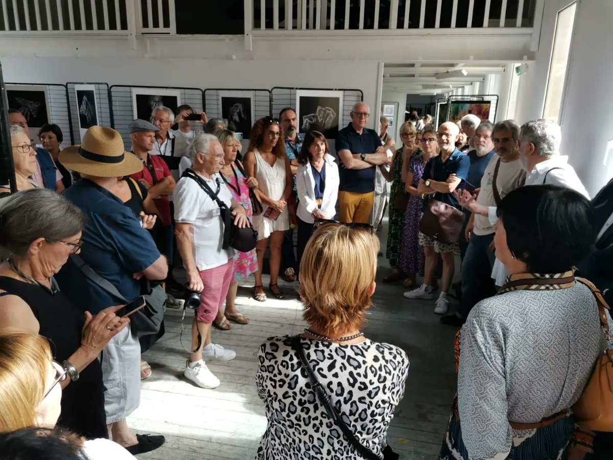 Fed_Cat_Fotografia tweet media