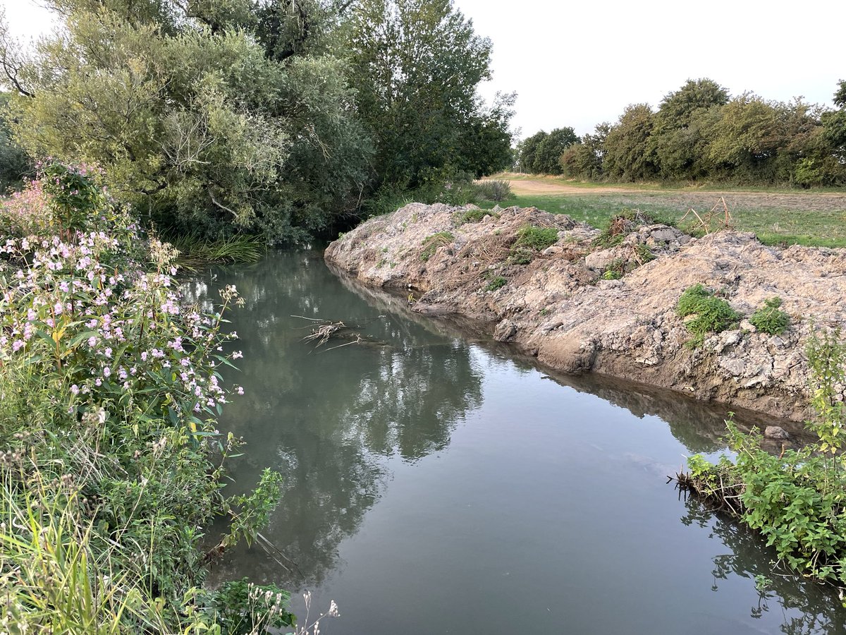 Today’s chalkstream destruction story comes from the River Rib in Hertfordshire. 
I wonder if the environment agency will follow up on the report and (heaven forbid) consider prosecution. This is the second time in five years the farmer has dredged this stretch.