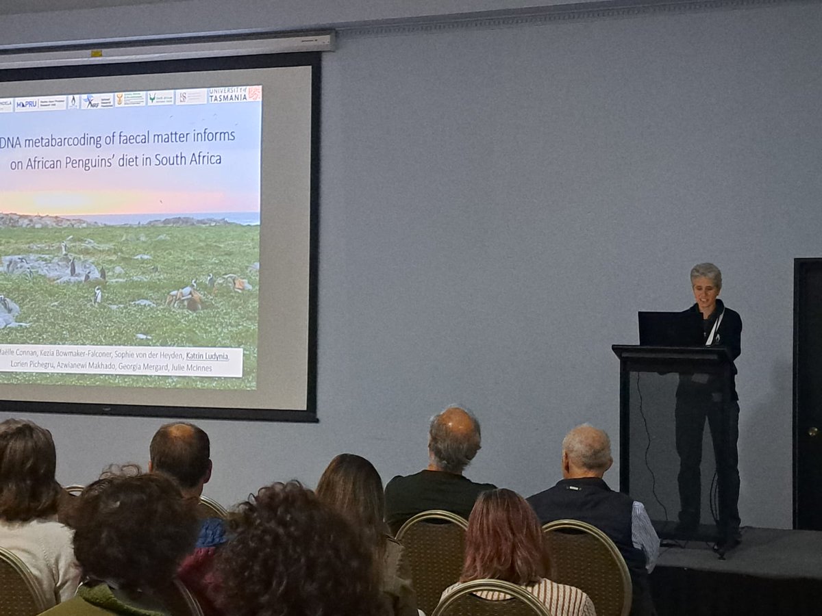 Happy to be presenting on behalf of Maelle Connan from @mapru_nmmu on the diet of #AfricanPenguin at #IPC11. @SANCCOB