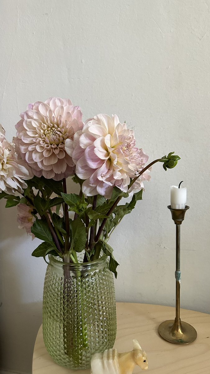 bigevilbug's tweet image. 