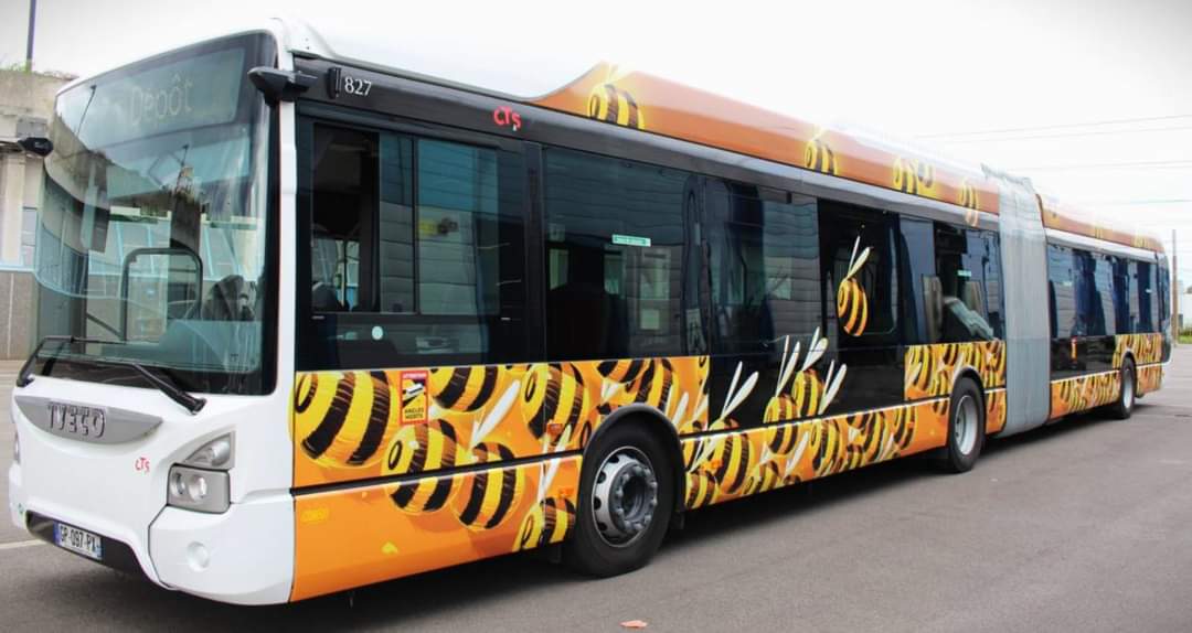 Heureux de vous présenter le nouveau bus de la Ligne G de Strasbourg signé Stom500.
Ligne G comme "Graffiti" et à cette occasion de nombreuse oeuvres seront réalisées le long de la ligne dans le cadre du festival 2023 !
👉 colors-art.eu/colors-the-lin…