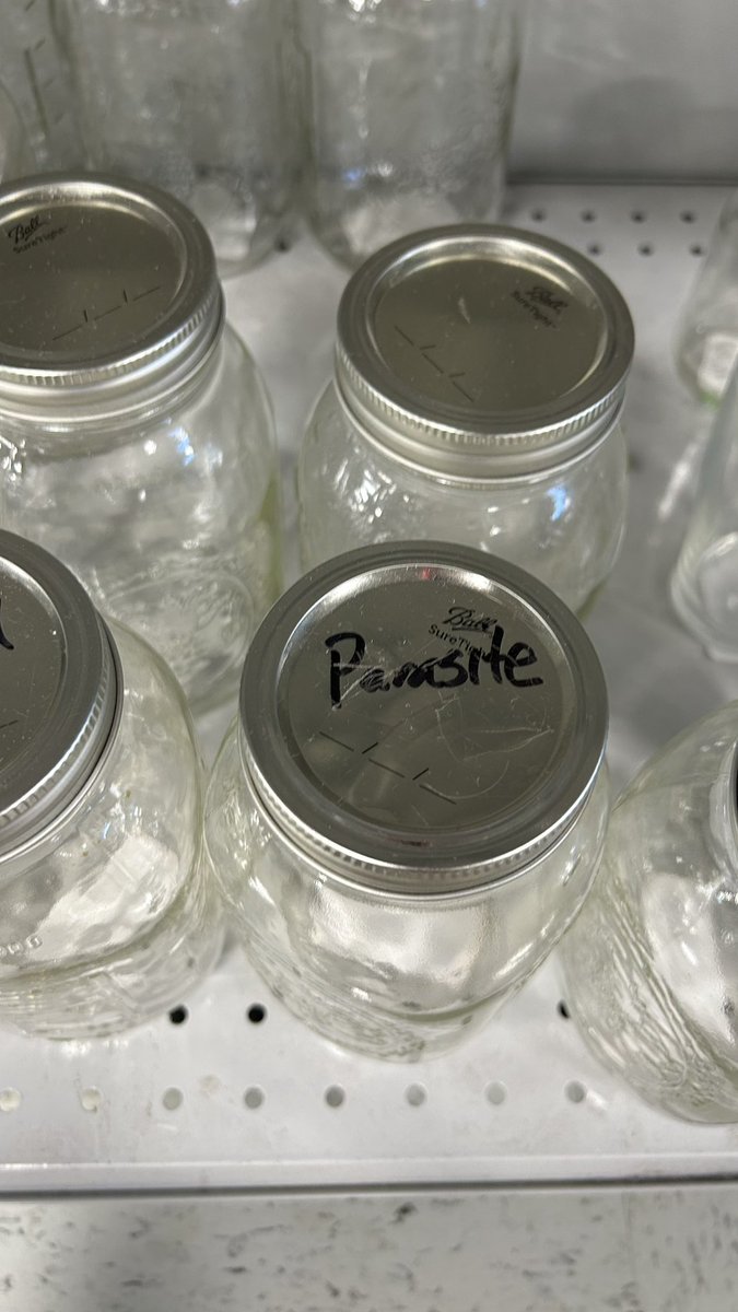 bigevilbug's tweet image. 