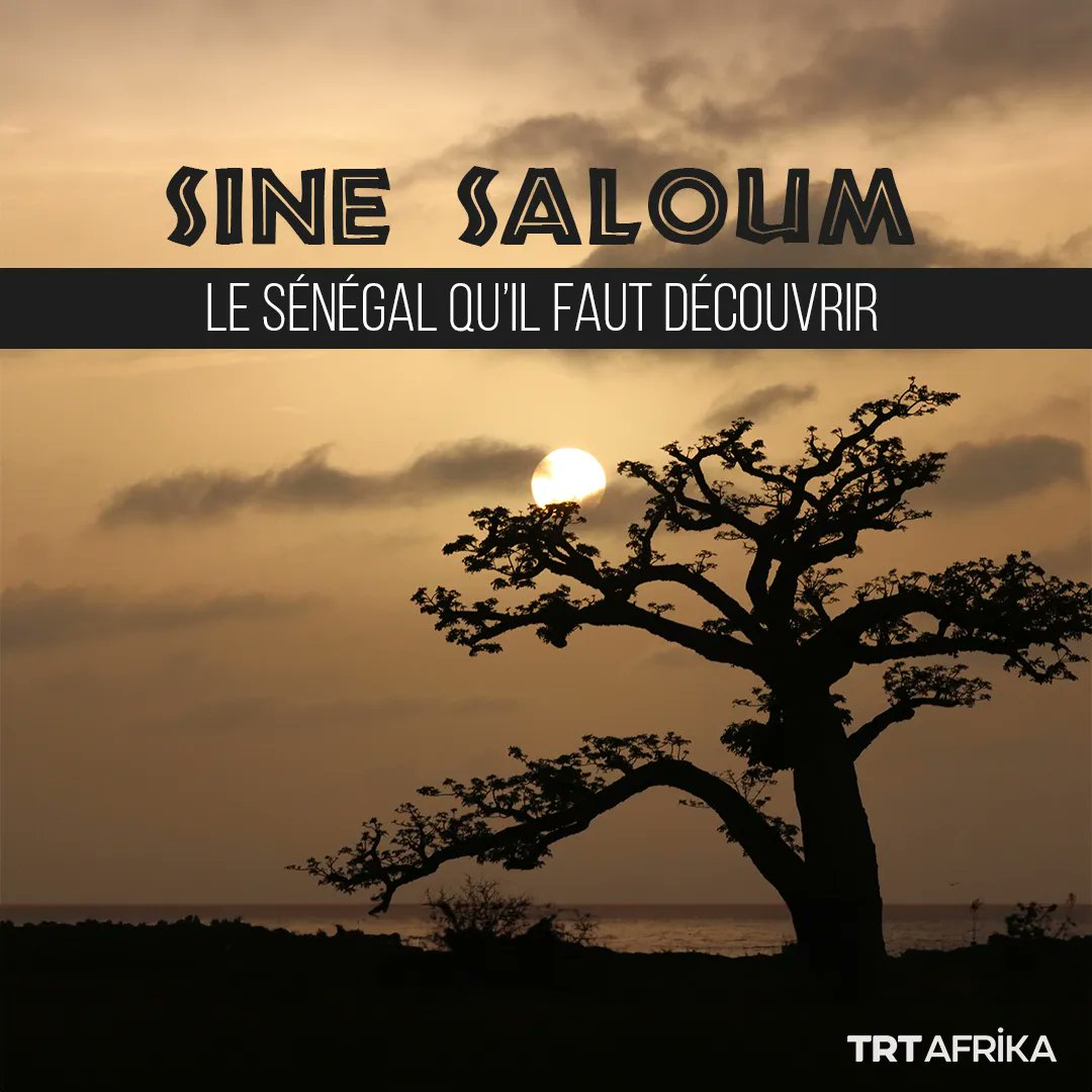 trtafrikaFR's tweet photo. La région naturelle du Sine Saloum abrite le Parc national du delta du Saloum. 

Une destination touristique de premier plan au Sénégal https://t.co/u9uqD6UWc5