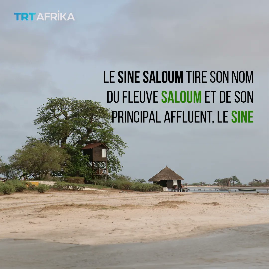 trtafrikaFR's tweet photo. La région naturelle du Sine Saloum abrite le Parc national du delta du Saloum. 

Une destination touristique de premier plan au Sénégal https://t.co/u9uqD6UWc5