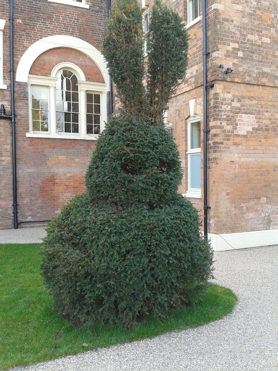 Dave Evetts tweet media