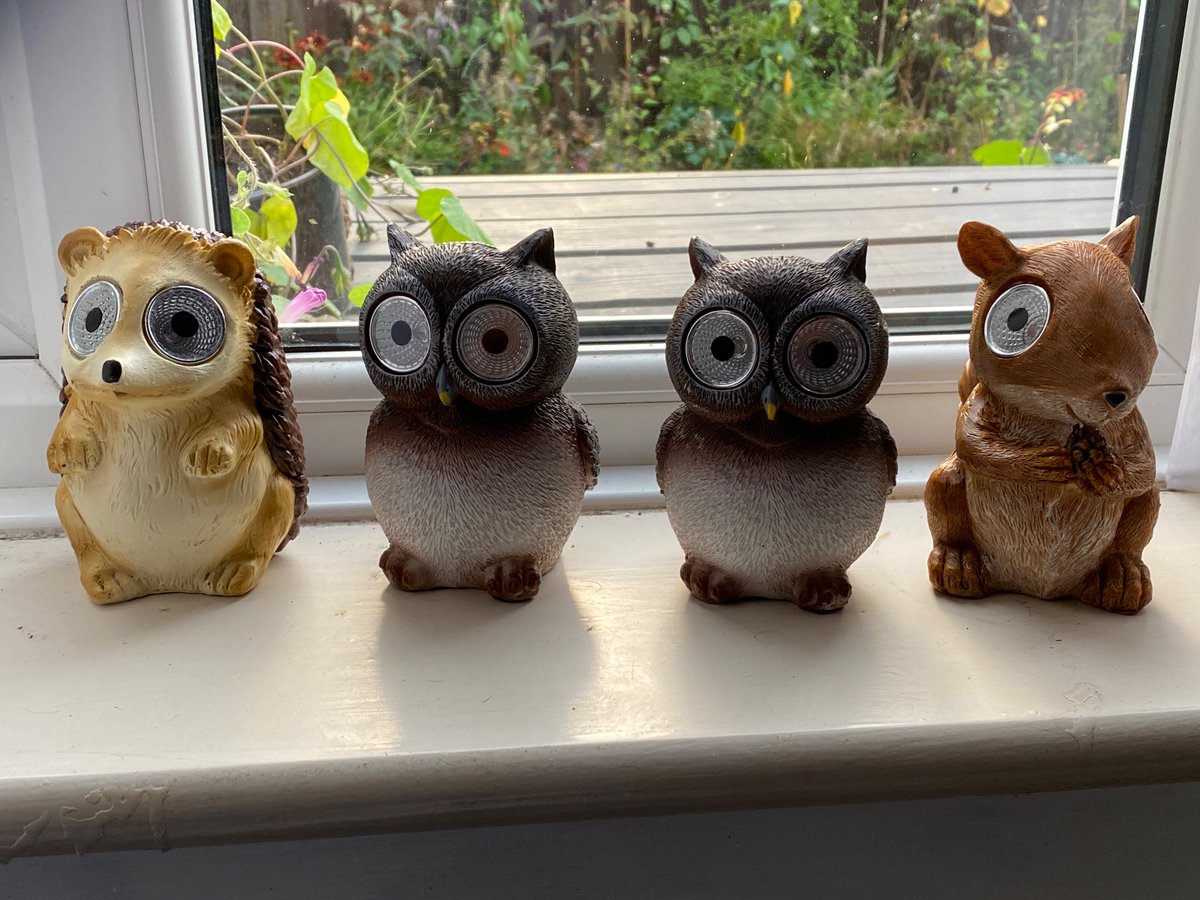 “Now then madam, in your own time, have a good look… and let us know which one of this lot nicked your walnuts”

“I’m not happy about this, guv; couldn’t you’ve stuck Dave the pigeon in it instead? He owes us” 

#ShutItTufty
#UsualSuspects
 #DIWinstoneVsDCSquirrell

<a href="/ReptonGuide/">ReptonGuide</a>