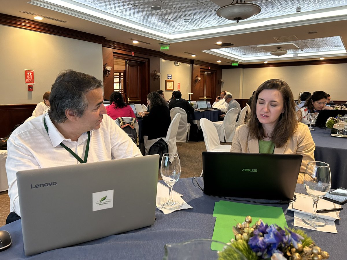 FAOEcuador's tweet photo. 📌AHORA | Se lleva a cabo el 2do día del taller del #FRA2025 en América Latina. La información recolectada a través del FRA contribuye al #ODS15.

📊Delegaciones de 17 países avanzan en la introducción y actualización de datos en la plataforma que proporciona la @FAO. https://t.co/FemewUv0NJ