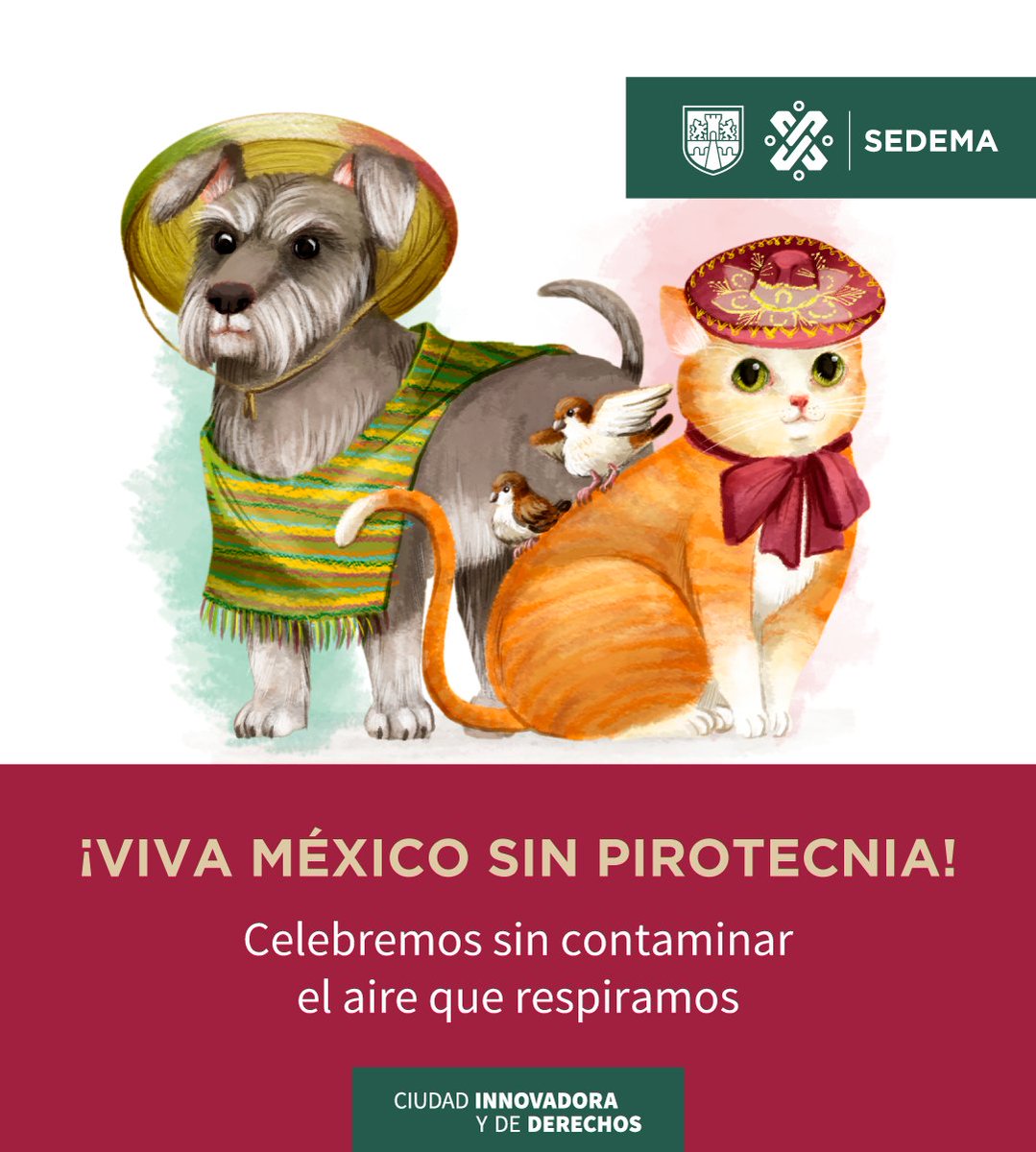 SEDEMA_CDMX's tweet photo. Este 15 de septiembre no truenes cohetes 🎇🧨 mejor cántate una ranchera 🤠 y grita, ¡viva México! 🇲🇽 https://t.co/Wi602nqVpC