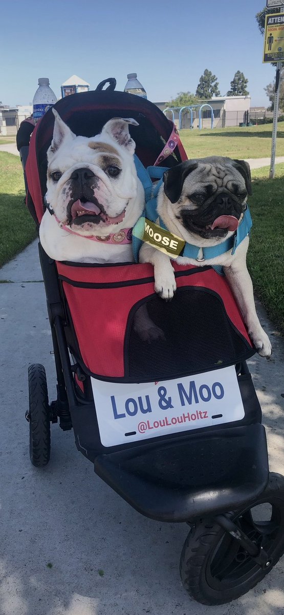 LoulouHoltz's tweet photo. On this #GivingTuesday and #dayofcharity please consider a food donation to @puppypalsclub no matter the size, will help ensure 
elderly, homeless, out of work, disabled and @mauihumanesociety that are dealing with food issues will be able to have food for their pets. 
#MauiFire https://t.co/wpppZJ31x7