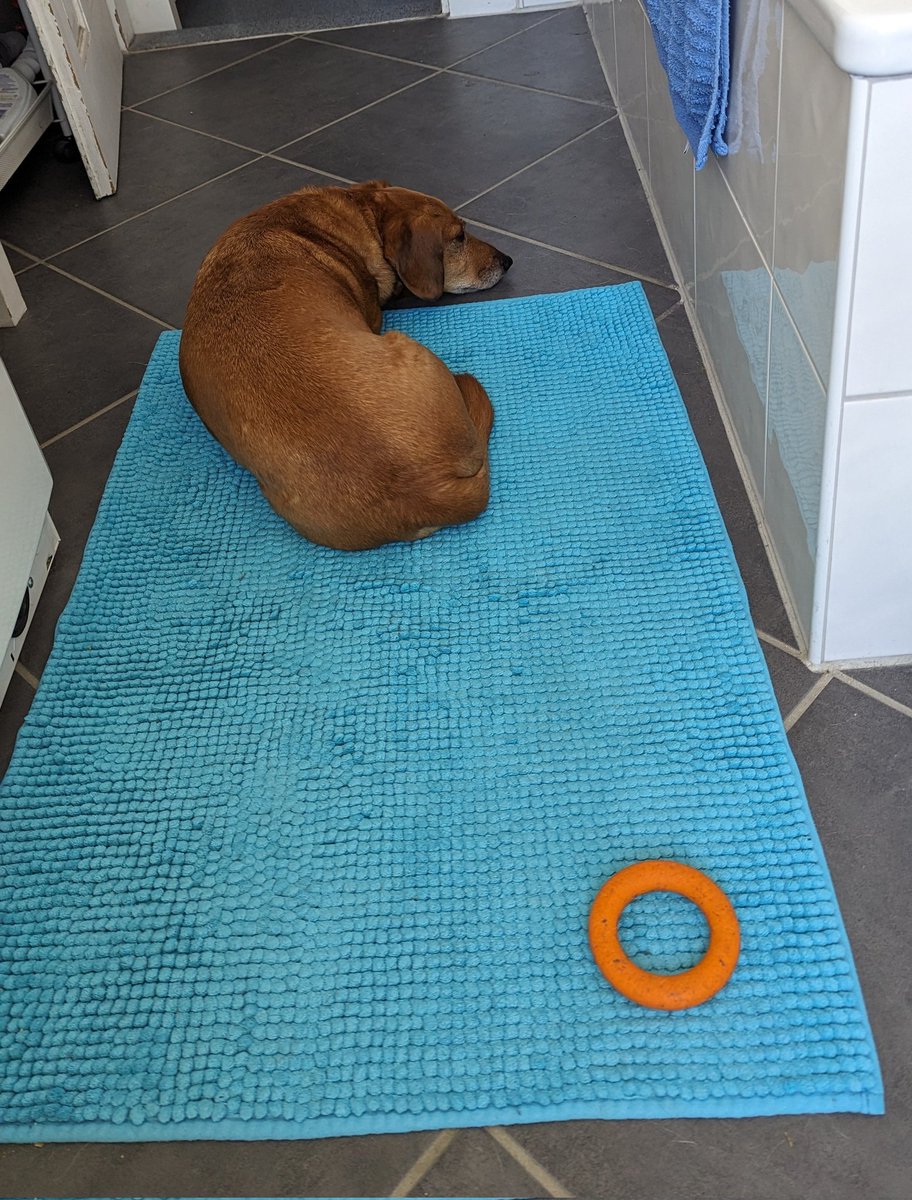 Ich saß auf dem Klo und wollte den Ring nicht werfen, also werde ich so gestraft🥲