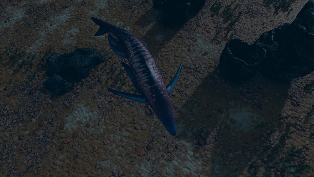 PCGhoul's tweet photo. Space sharks confirmed #StarField https://t.co/OqkhtJh5Oj