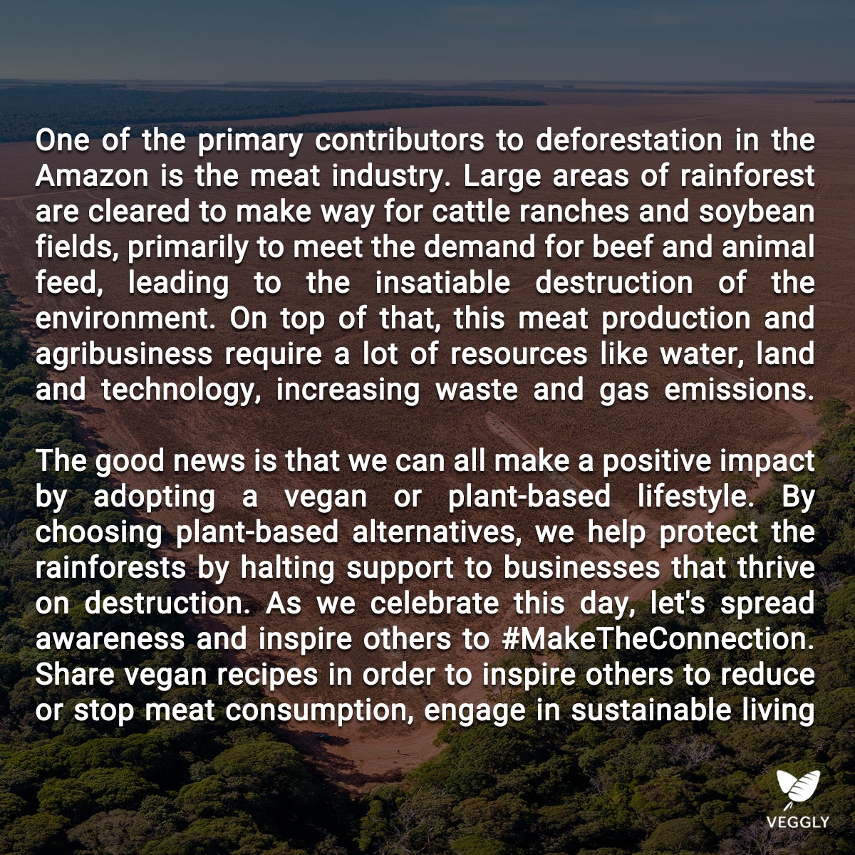 AppVeggly's tweet image. Preserving the Amazon is safeguarding our home 🌳🌎💚 .
.
.
.
.
.
#AmazonDay #SustainableVeganisM #Vegan #PlantBased #VeganFood #CrueltyFree #VeganLife #GoVegan #VeganRecipes #Veganism #VeganCommunity
#VeganForTheAnimals #VeganEats #VeganInspiration