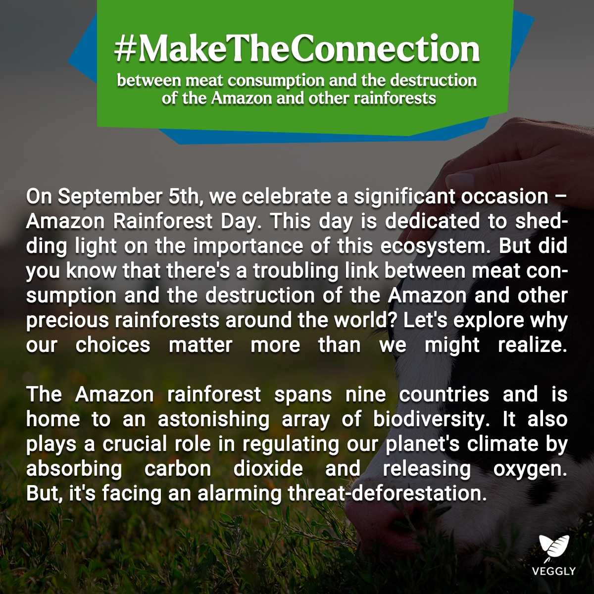 AppVeggly's tweet image. Preserving the Amazon is safeguarding our home 🌳🌎💚 .
.
.
.
.
.
#AmazonDay #SustainableVeganisM #Vegan #PlantBased #VeganFood #CrueltyFree #VeganLife #GoVegan #VeganRecipes #Veganism #VeganCommunity
#VeganForTheAnimals #VeganEats #VeganInspiration