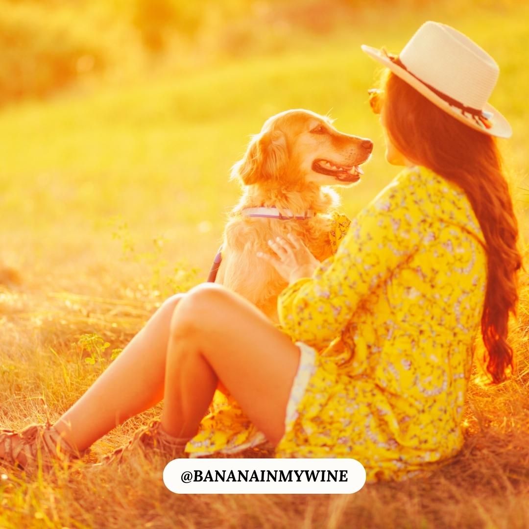 🐩🐶From Dog Wine to Doggy Teas, our four-legged friends are joining the party! 🍷🐶 Cheers to the unconditional love they bring into our lives! 🐾🎉 Read more about Dog Wine here: 🦴🐾

✅  bananainmywine.com/dog-wine/  ✅

#BananaInMyWine #DogWine #FurryFriends #ILoveMyDog