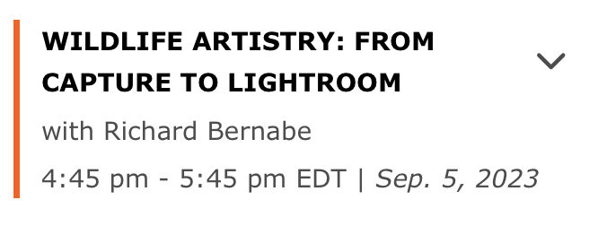 Stacy White tweet media