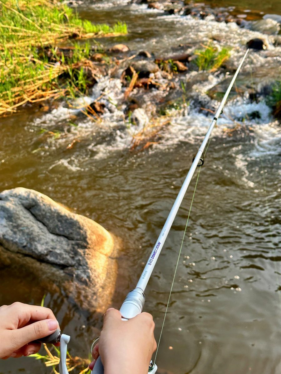 Sun, water, and fish - the perfect trifecta😍😍