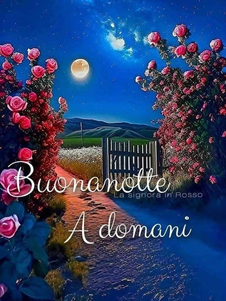 @isolearan1 @Mustapha1508 @ManuelaFiorill5 @Clau99559991 @gori_magnani @guidovecchione @jetdom @SandroBrizzola4 @caputmundiHeidi @claviggi @AriannaAmbrosi0 @ginluca75