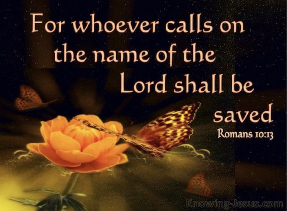 🧡🌿🕊Words To Ponder🕊🌿🧡
💛Father I confess I often come to you with way too much pride, mouthing my request with empty words. Please teach me to come in sincere humility to make my petitions known, hear my cry LORD and give me peace 💛 Amen 🙏