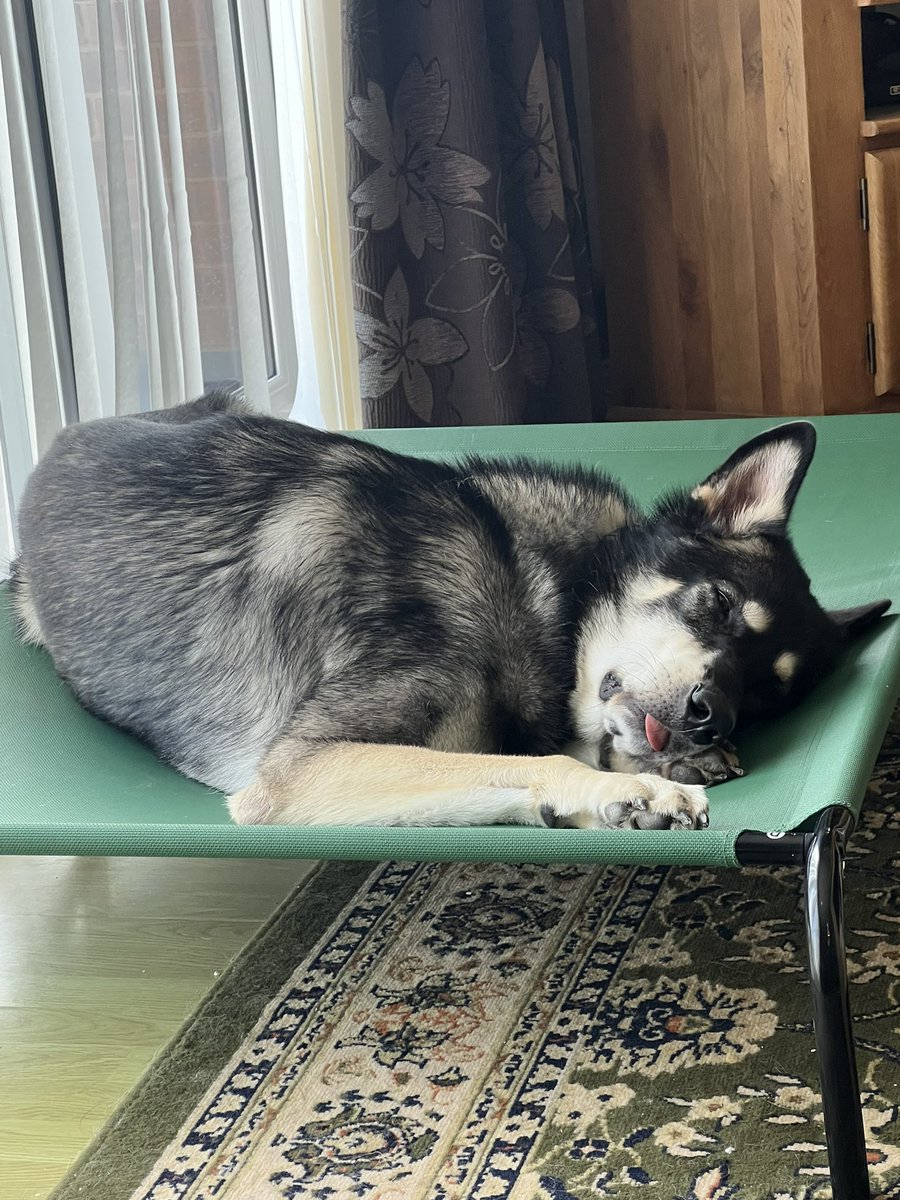 Following x-rays, Troy decides to sleep off the effects at home. He looks completely out of it. How is this comfortable?