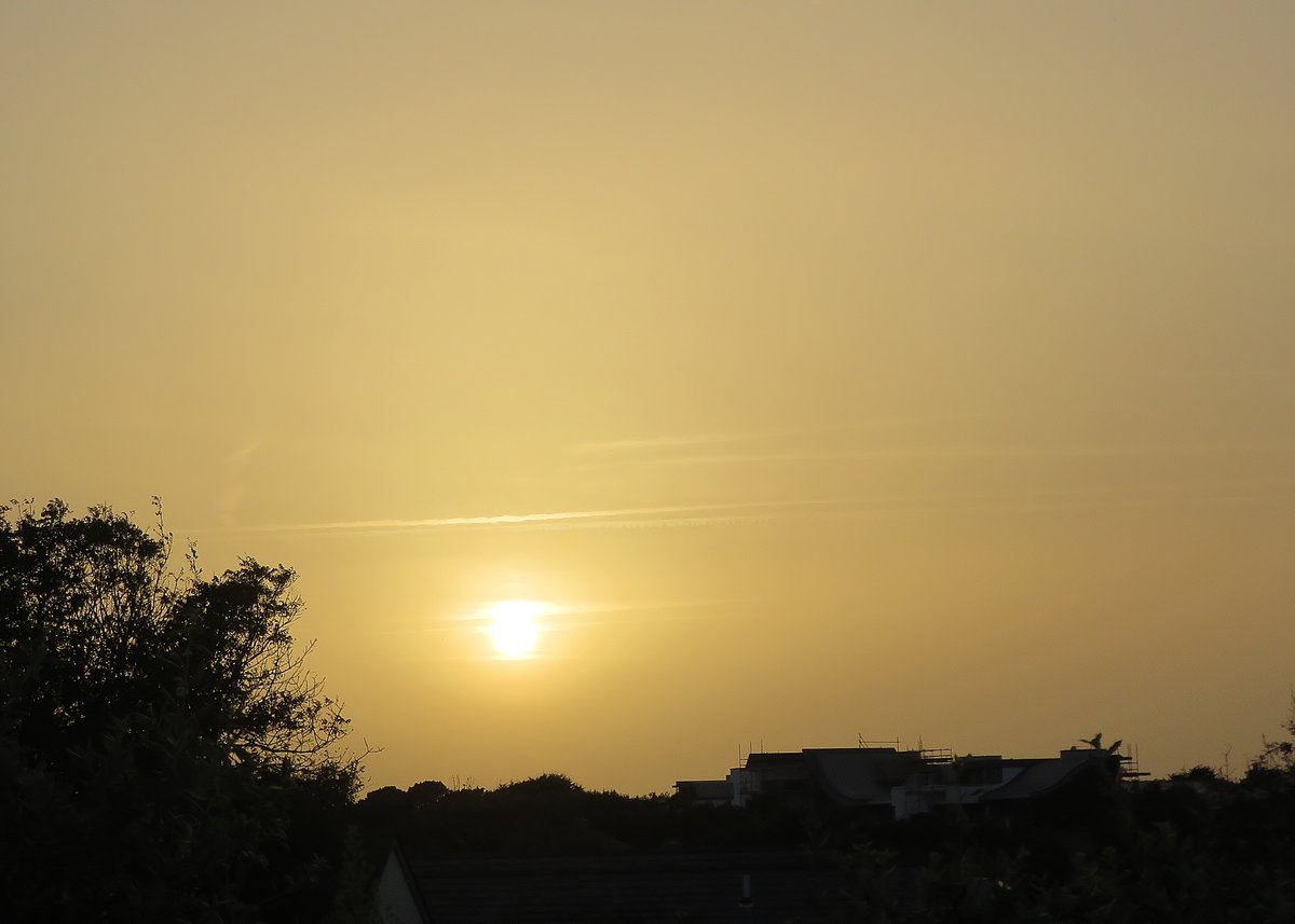 leblancq_f's tweet photo. Nearing sunset over #JerseyCI, with a yellowish hue caused by Saharan dust in the sky above. Also a few of the many hundreds of migrating #swallows noted passing through #Portelet today – about 70 in this late afternoon image https://t.co/AAxuXJwPnt