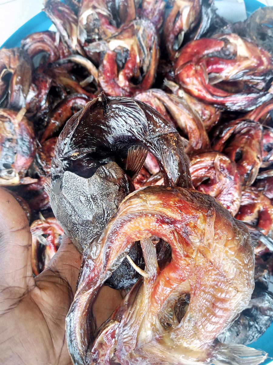 Okon_Eteobong's tweet image. I know its late. 

But in case you are planning to cook soup tomorrow while NLC is on strike or while we put #AllEyesOnTheJudiciary,  don't fail to add #Driedfish 

Do yourself that favour by talking to @catfishpreneur or WhatsApp 08069786158.
Guess what?💁🏽
Free delivery for 5kg+