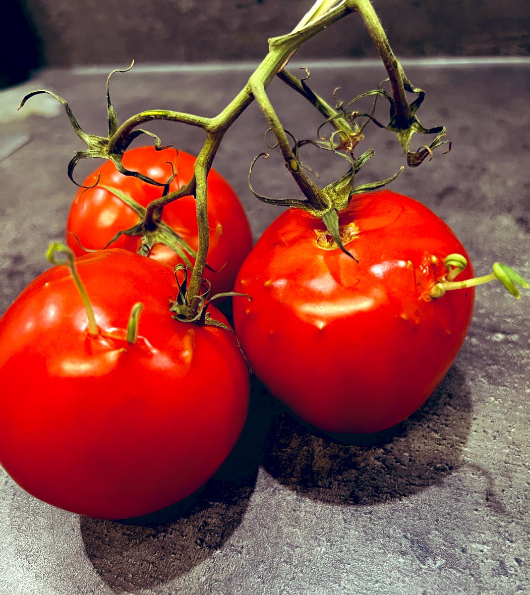 Jon Walsh tweet media