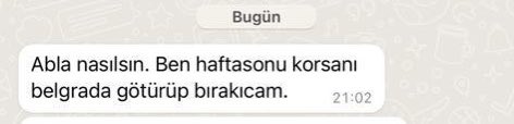 Badiko_'s tweet photo. ***Bugün iş dışında her saat başı çözmemiz gereken ayrı bir olay çıktı. Bu da son dakika golü, yarın Sarıyer'den korsanı alıp Ömerli'ye pansiyona götürecek birisi var mı? Belgrad ormanına atılmak üzere, çok ama çok acil **** https://t.co/WxRjunjnuG