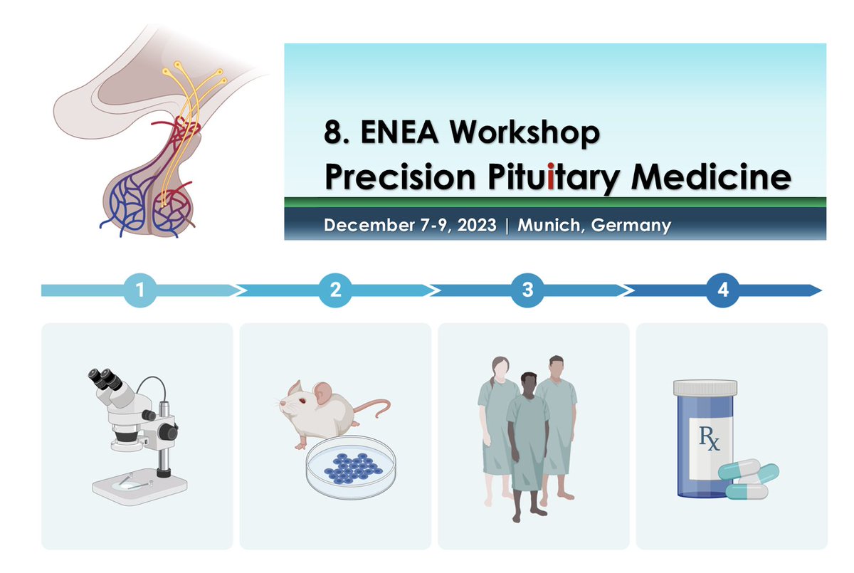 ENEA_Young's tweet image. Fascinated by Neuroendocrinology? 🧠

Meet leading international experts at the @ENEAssoc  workshop in Munich and share your work with us! 

Whether basic, translational or clinical research ... remember to submit your abstract by 04.10!  @EYEScientists 

enea2023.com/abstract-submi…