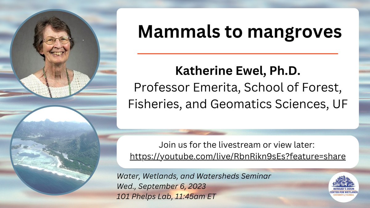 ufWetland's tweet photo. Join us for our W3 Seminar tomorrow at 11:45am ET! Dr. Katherine Ewel, who worked with H.T. Odum on a project that led to the founding of the CFW, will be sharing her work monitoring #mangrove seedling growth and survival on the island of Kosrae.
⏺https://t.co/b3ciF3UF7E https://t.co/AIP12ov1QF