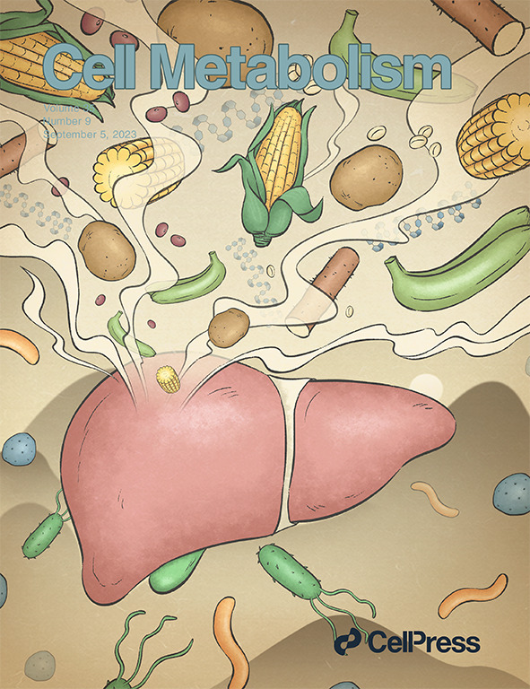 #NewIssue!  Featuring cover art symbolizing the alleviation of fatty liver by resistant starch dietary supplementation, which supports healthy gut microbiota. Read more about the #clinicaltrial by Ni et al. cell.com/cell-metabolis…