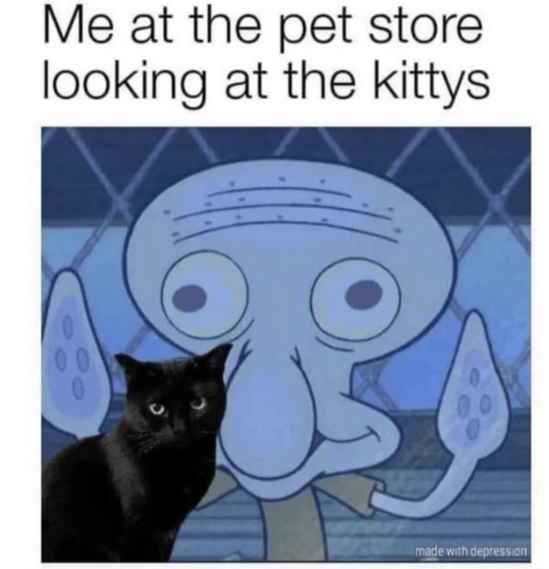 non aesthetic things (@picturesfoider) on Twitter photo 