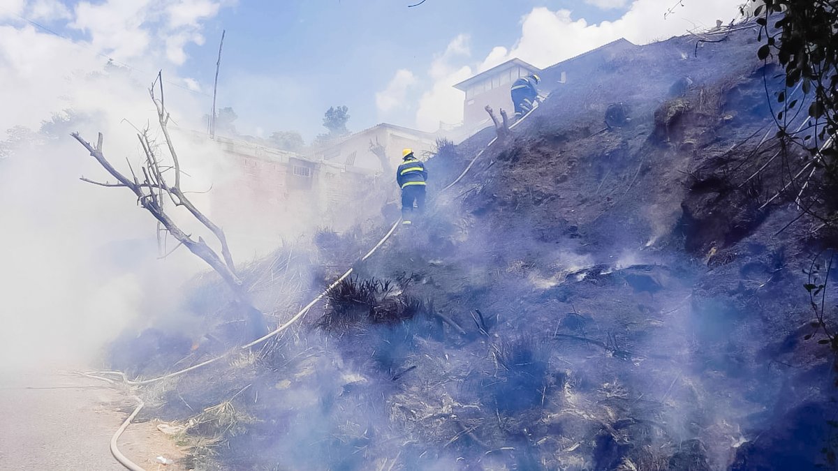 floridabomberos's tweet photo. Con #reacción oportuna, #unidadesbomberiles del #CBVF controlaron el #incendio en #coberturavegetal sobre la #transversal #oriental, cerca al #barrio #ElCarmen de #Floridablanca.

La #deflagración consumió cerca de 1500 mts.² de #vegetación, sin afectar a las #viviendas aledañas. https://t.co/HhdC4ui8Eq