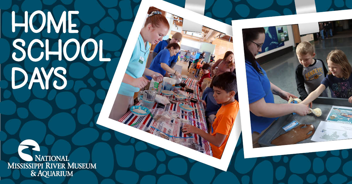 Mark your calendars - Homeschool Days are on the second Thursday of November, December, January, February, and March! Each day will offer a variety of drop-in activities focused on a different theme. No advance registration is needed. Admission will be $9.95 per person!
