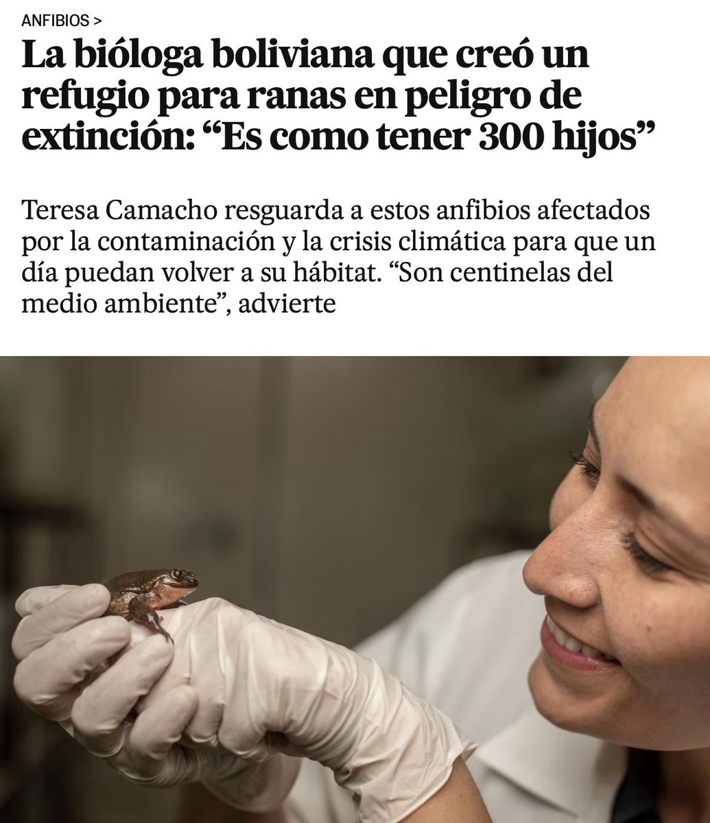 Reportaje de El País sobre el trabajo Teresa Camacho <a href="/TeresaCamacho_B/">Teresa Camacho Badani</a>, alumni <a href="/PUCE_Ecuador/">PUCE Ecuador</a> y de nuestro lab. 
Noticias como esta te alegran el día
elpais.com/america-futura…