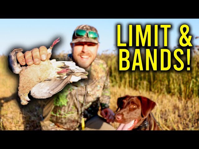 Outdoor Limits tweet media