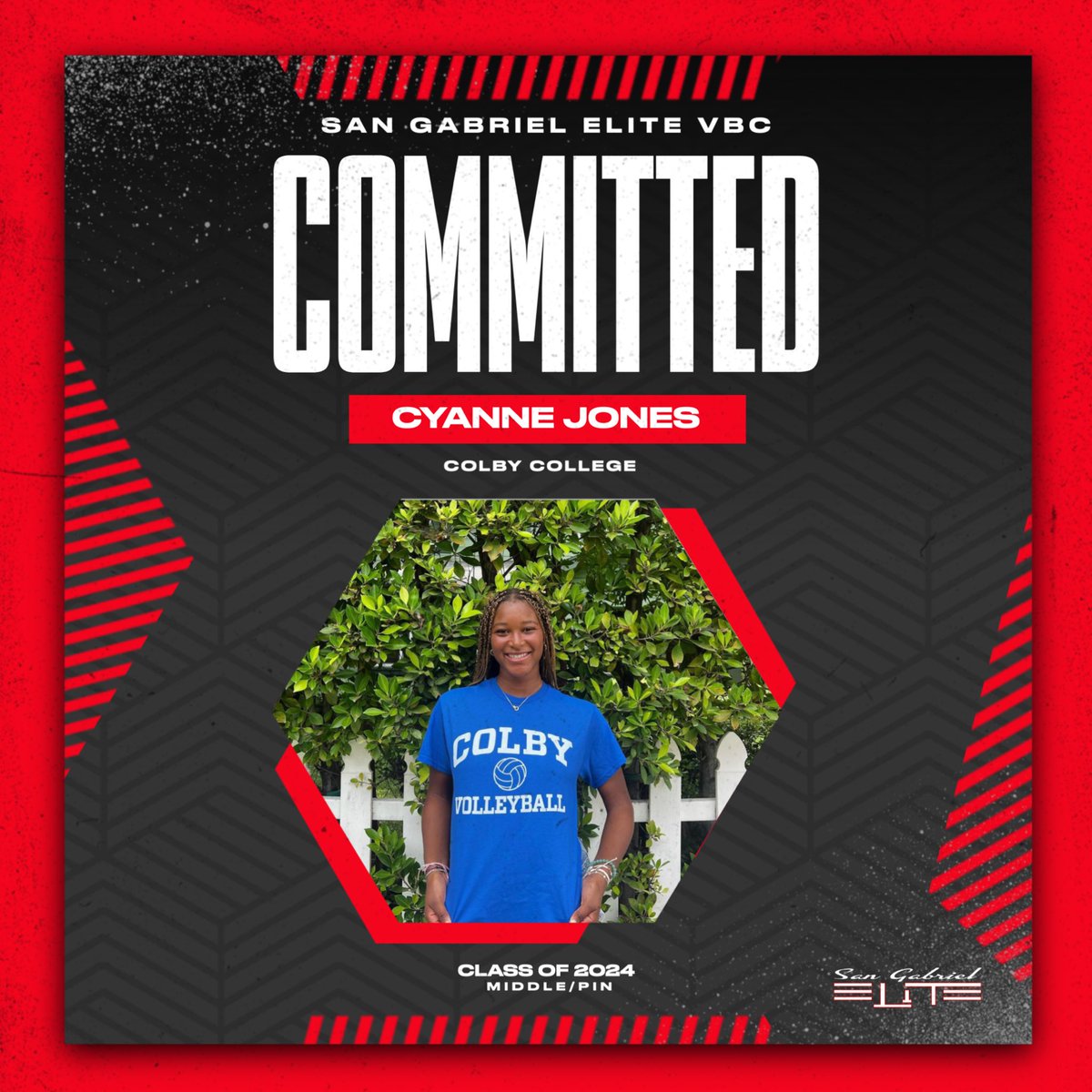 SG Elite VBC tweet media