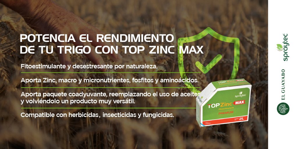 ElGuayaboSrl's tweet photo. Hay decisiones que hacen la diferencia.
Potenciá el rinde de tu cultivo de trigo 🌾 con
▪️TOP ZINC MAX #Spraytec
Lo tenemos ☝🏼
Pedilo📲
Lo llevamos a tu campo 🚚
#ElGuayabo 🌳
https://t.co/DYtbfU5bAd https://t.co/beoPHoGQ8c