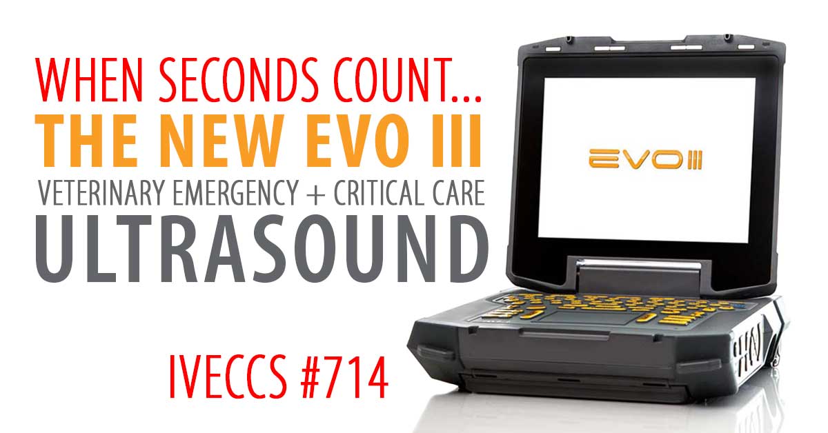 EI Medical Imaging tweet media