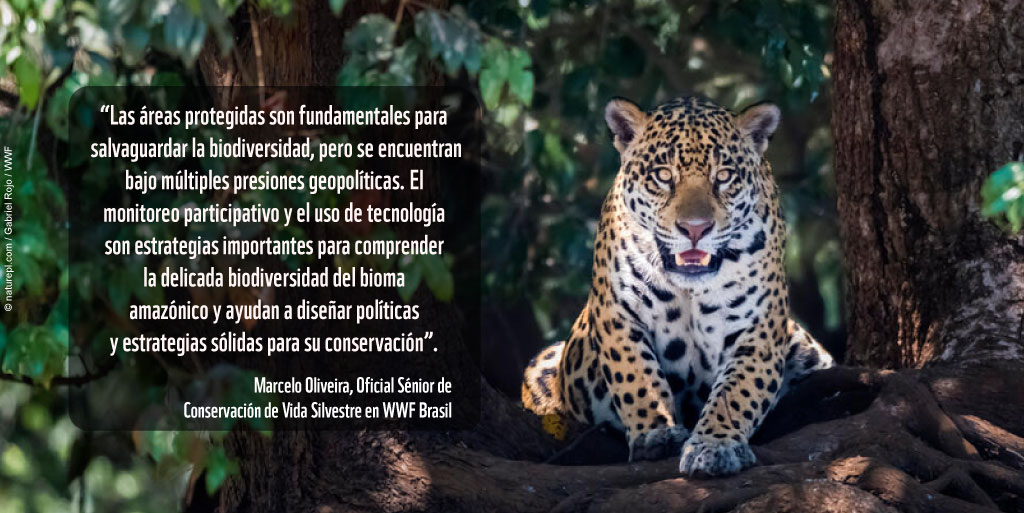 Las áreas protegidas son territorios sumamente importantes para la conservación de la biodiversidad, por lo que aspectos como el aumento de financiación y políticas sólidas que no dejen espacio para la reducción, degradación y eliminación de áreas protegidas, son necesarias.