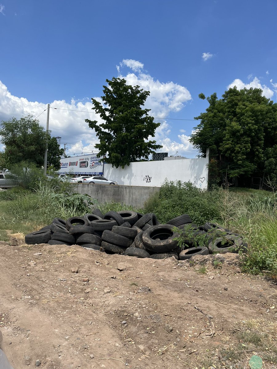 BeatrizEscoobar's tweet photo. @noticieristas Hola buenas tardes, en que parte se puede dar queja sobre estas llantas que fueron tiradas por una camioneta, dichas llantas están en un canal tipo pluvial en Blvr. universitarios entre una llantera y expendio Modelorama (entre calles ignacio lopez rayon y Alvaro Obregon) gracias https://t.co/5WdQquIWH3