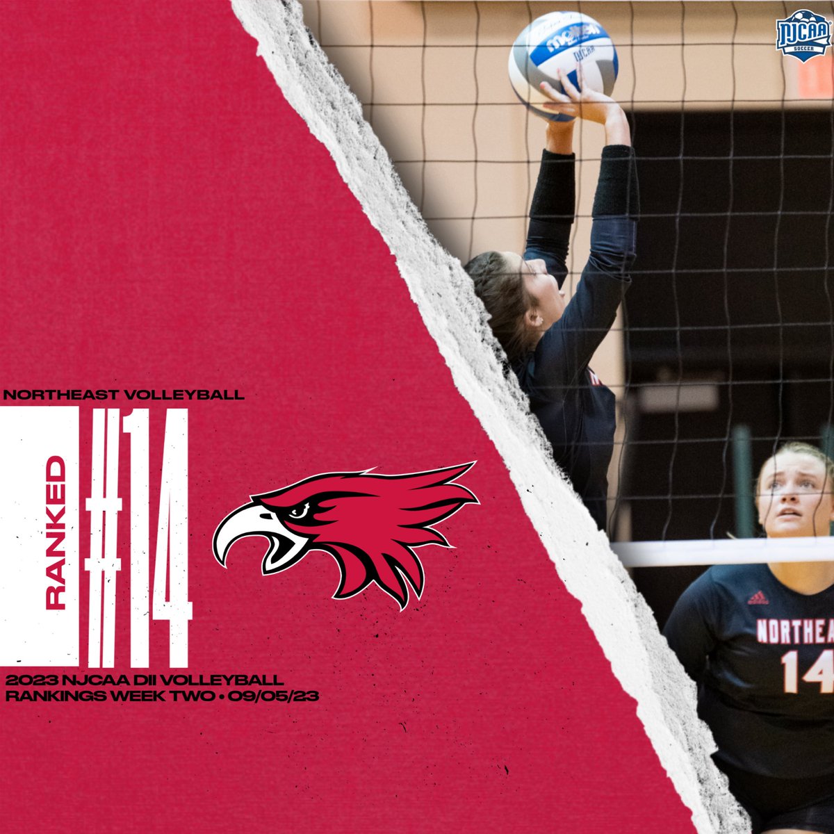 1️⃣4️⃣

The volleyball squad enters the poll after downing #15 last week!

This is the 𝗙𝗜𝗥𝗦𝗧 𝗧𝗜𝗠𝗘 𝗜𝗡 𝗦𝗖𝗛𝗢𝗢𝗟 𝗛𝗜𝗦𝗧𝗢𝗥𝗬 that all three of our fall sports have been ranked at the same time!!!

𝘍𝘶𝘭𝘭 𝘙𝘢𝘯𝘬𝘪𝘯𝘨𝘴 🔗: bit.ly/44Gecmd

#GoHawks 🔴⚪️🏐