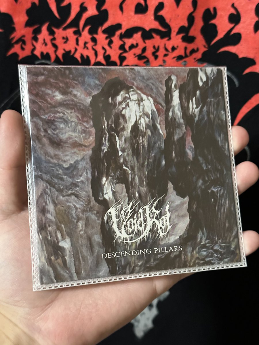 shishineko44225's tweet photo. #Nowplaying
#VoidRot
#DESCENDINGPILLARS https://t.co/rIJVVv0Gpa