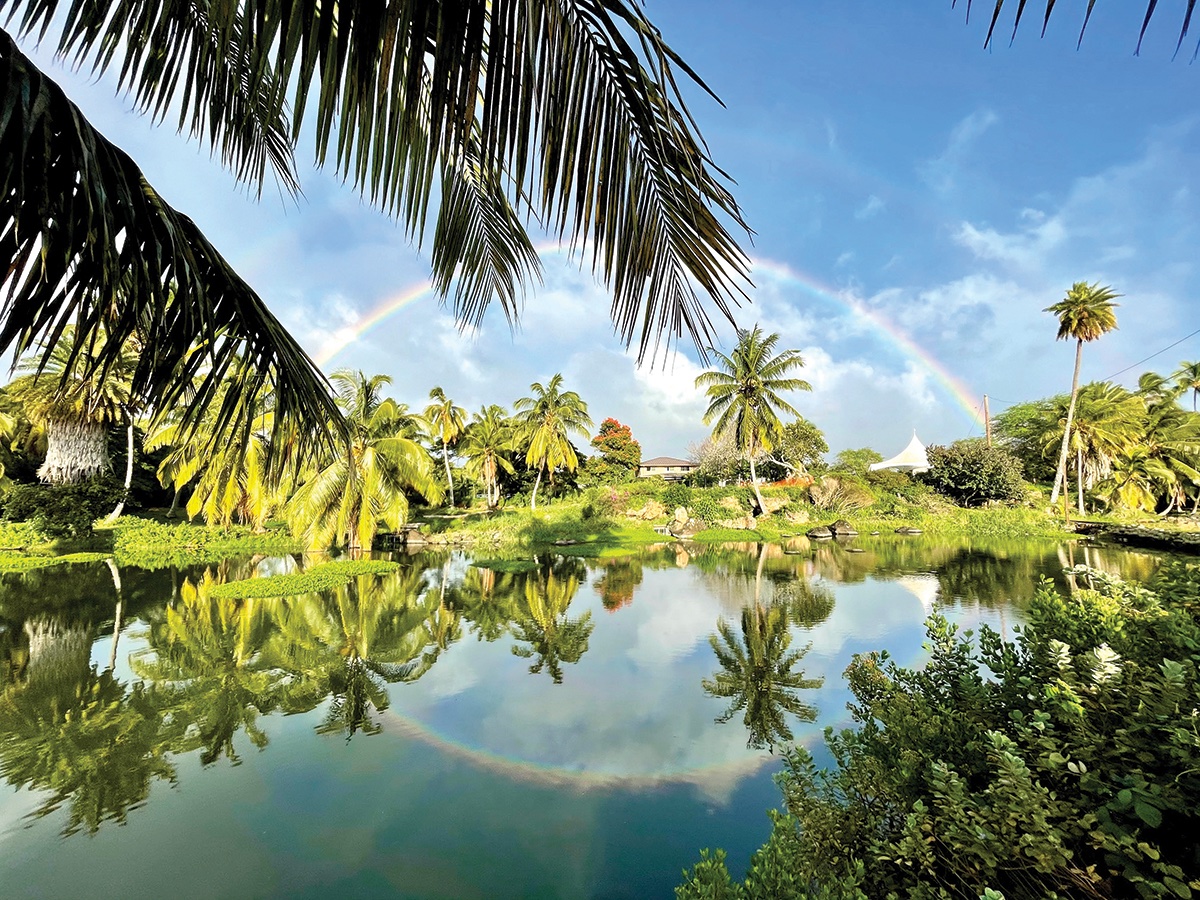 Visitors to Hawaiʻi are encouraged to travel with respect and to seek a deeper understanding of the culture.
hawaiimagazine.com/how-to-travel-…