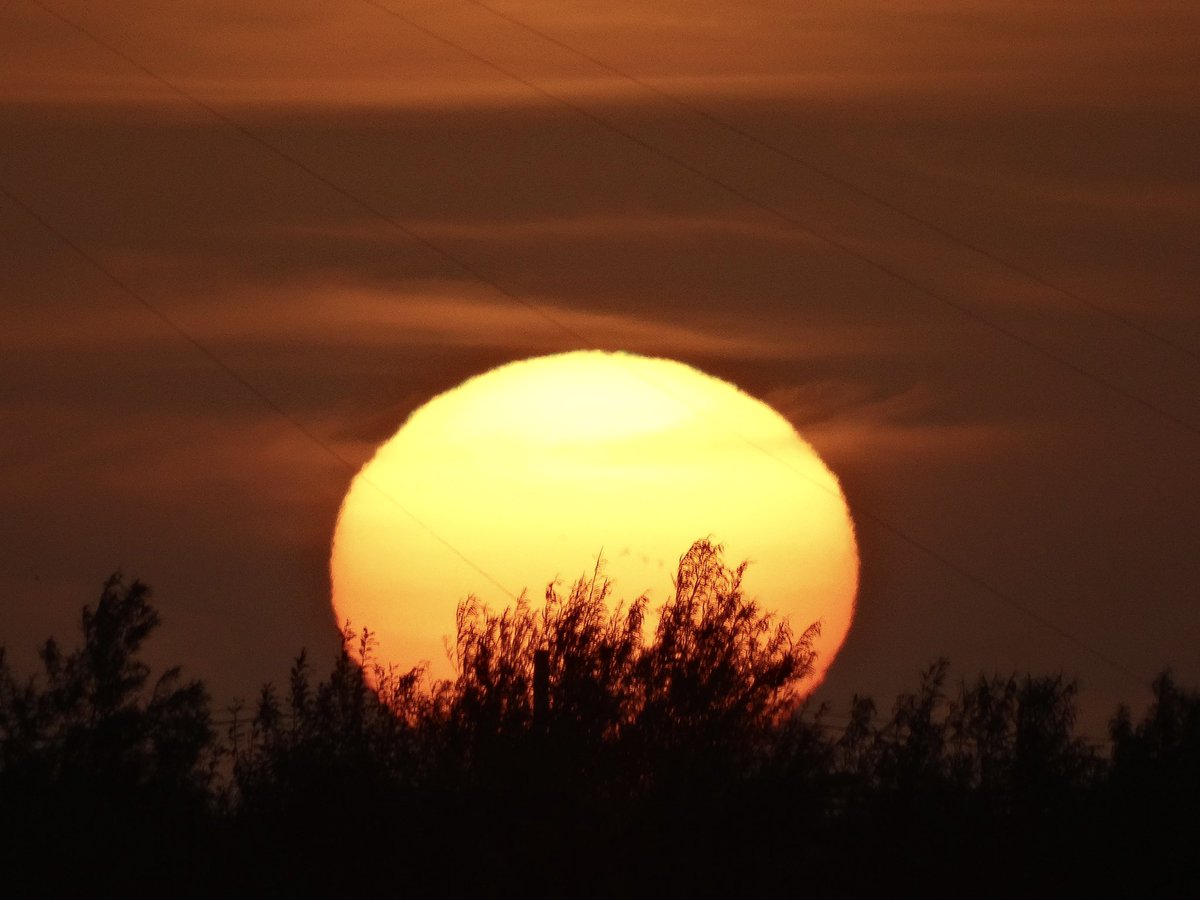 HornabrookLels's tweet photo. Sprinkle of Sahara dustโค๏ธ #sunset #lernow #cormwall @beauty_cornwall ๐ https://t.co/k3zYPon6Zg