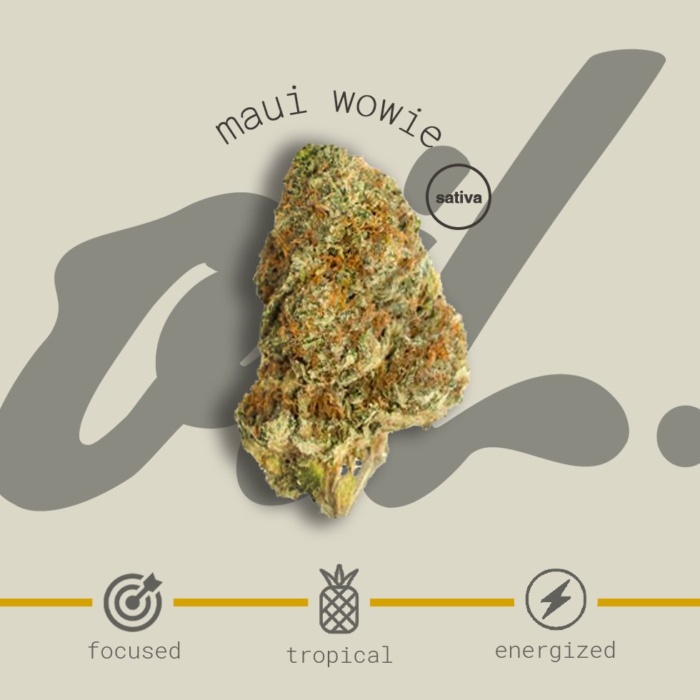 Oil Craft tweet media