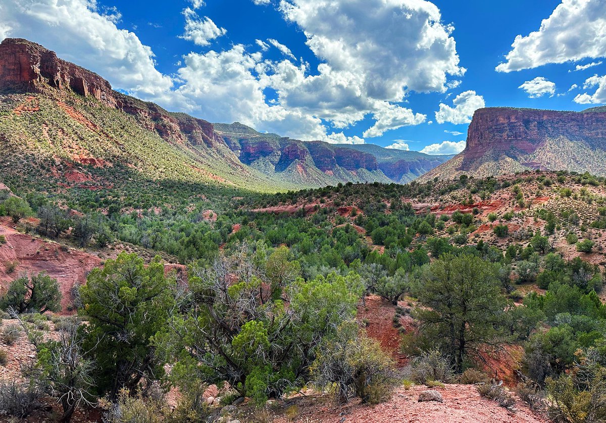 Tablet Hotels tweet media