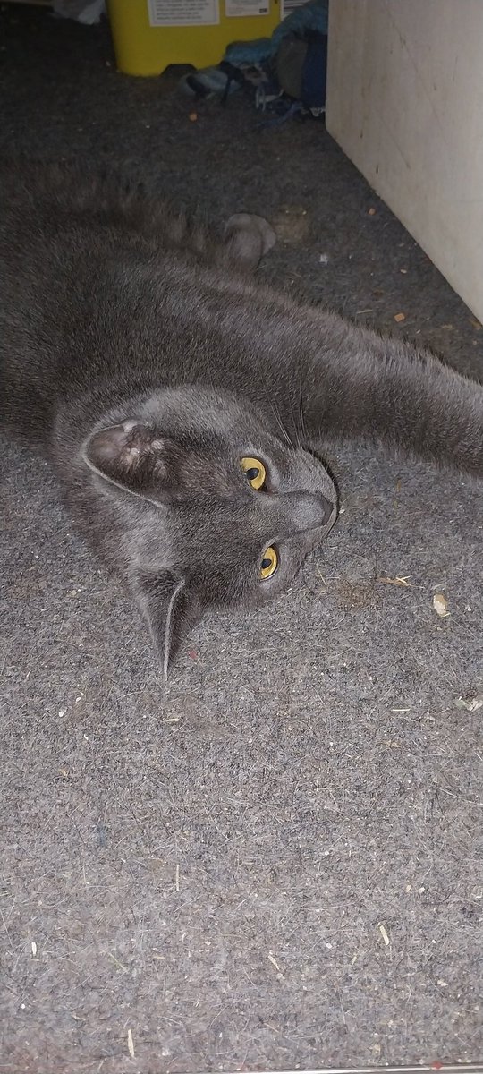 Brax😏 tweet media