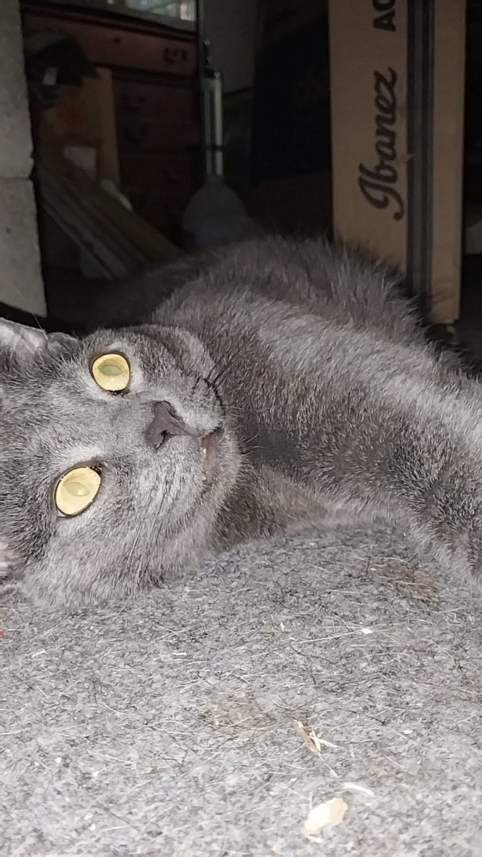 Brax😏 tweet media